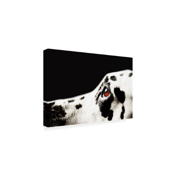 Jenny Rainbow Fine Art 'The Amber Eye Of Dalmatian Dog' Canvas Art,30x47